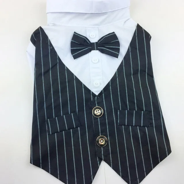 "Double-O Doggie" Dog Tuxedo