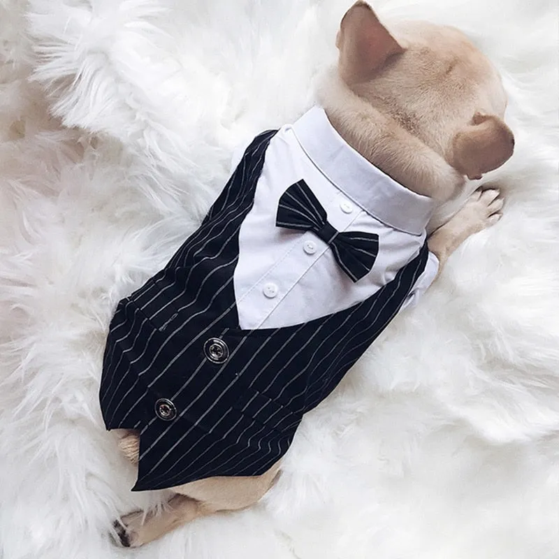 "Double-O Doggie" Dog Tuxedo