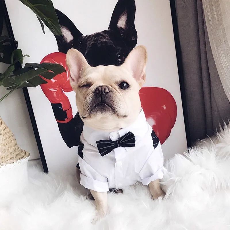 "Double-O Doggie" Dog Tuxedo