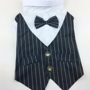 "Double-O Doggie" Dog Tuxedo