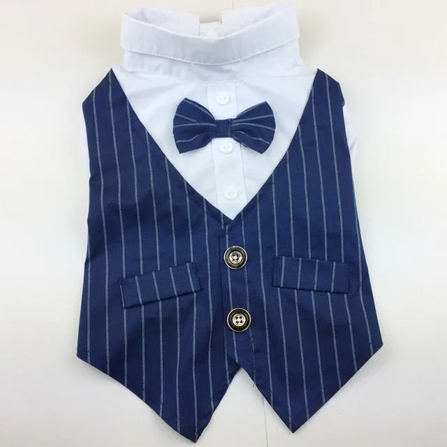 "Double-O Doggie" Dog Tuxedo