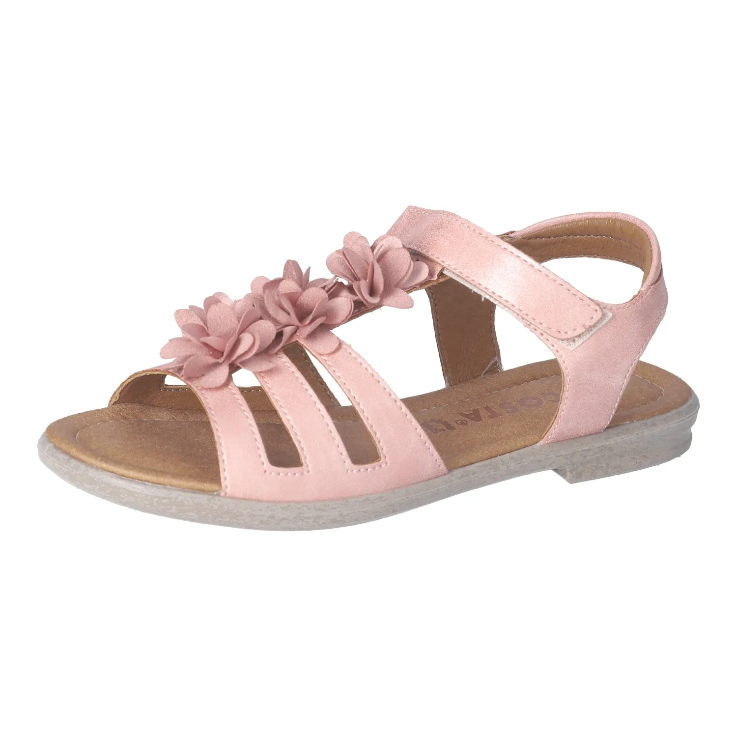 Ricosta Aurora Rose