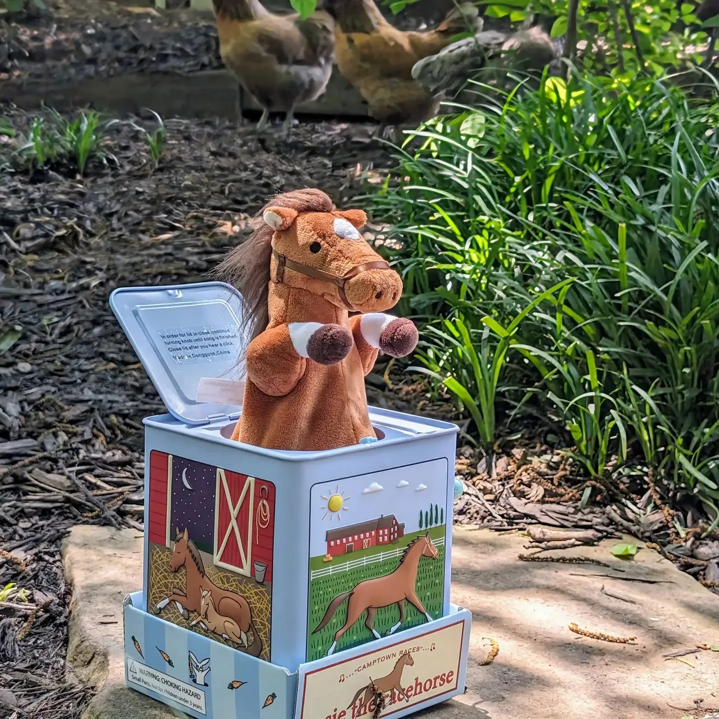 Rosie The Racehorse Jack In The Box